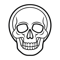 human skull illustration