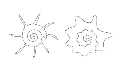 Set of black and white silhouette of seashell. Monochrome outline drawing. Vector illustration. Design element for coloring, cards, printing, packaging, invitations, advertising.