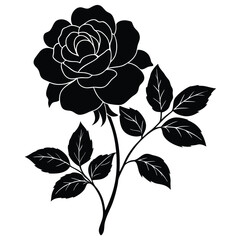 black and white roses