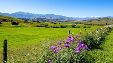 Fototapeta premium Vibrant Wildflowers Against Lush Green Pasture and Mountain Range