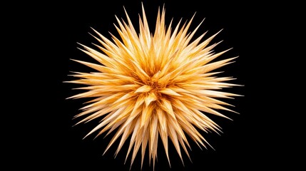 Golden Spiky Orb with Sharp Points on a Black Background