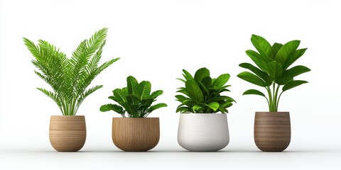 Fototapeta premium Botanical Wonders Unique Foliage Arrangements in Exotic Plants