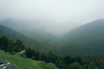 mountains in the fog