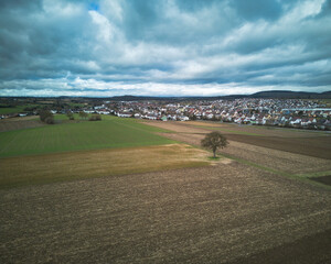 aerial view of a pale tree in the middle of plowed fields with village in background 
