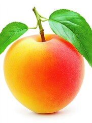 Ripe apricot with leaves, isolated, white background, healthy food (1)