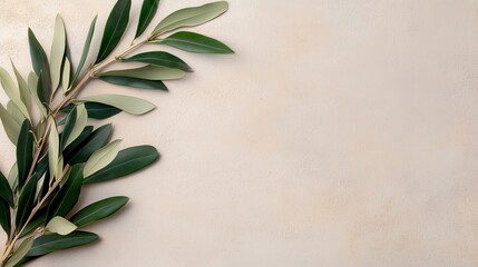 Green Leafy Branch on Soft Neutral Background for Natural Decor
