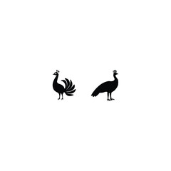 Peacock silhouette