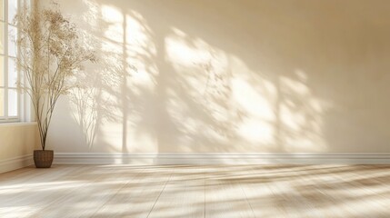 Serene Interior Space with Soft Shadows and Natural Decor Elements