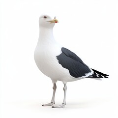 Fototapeta premium 3D Seagull Isolated and White Background