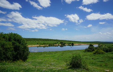 Lake, national park, addo elephant park, port elizabeth, south africa, savannah