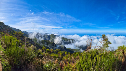 A stunning panoramic view from Verada do Pico Ruivo, Madeira, where lush green mountains meet a sea of clouds. The bright blue sky and dramatic mist create a breathtaking natural landscape.