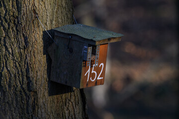 Birdhouse on a tree trunk in the forest.
