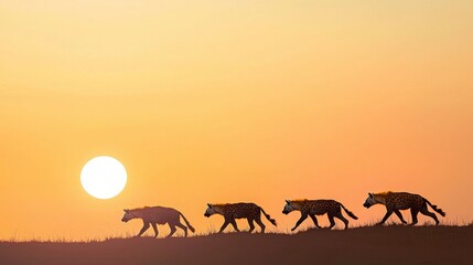 Four animals walking against a sunset backdrop, creating a serene and picturesque scene.