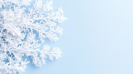 Obraz premium Winter, frost, branches, blue background, holiday design