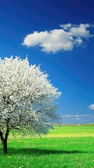 Blossoming tree, spring meadow, sunny day, idyllic landscape, nature background