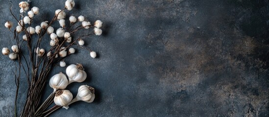 Obraz premium Garlic Cloves on Dark Concrete Surface with Mirror Effect and Space for Text in Culinary or Food Related Designs
