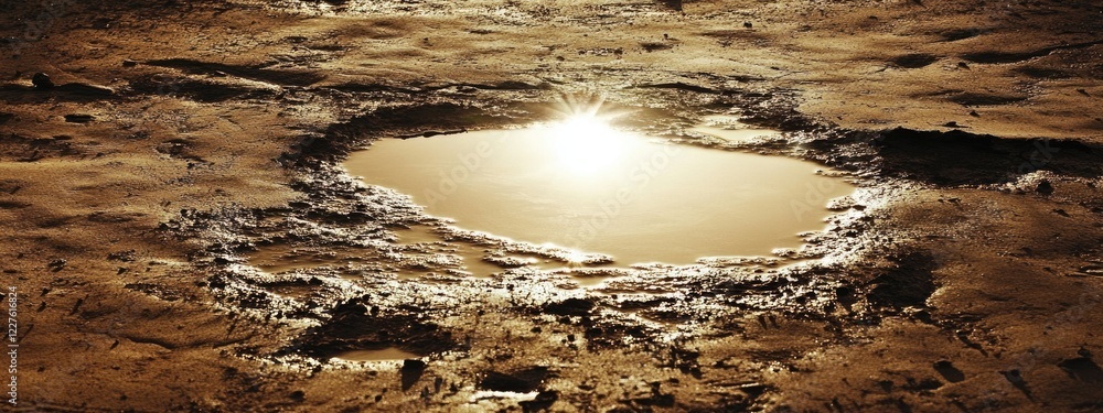 Poster water splashing onto ground forming a reflective puddle with abstract shapes and ample negative spac
