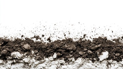 Horizontal Banner of Soil Layer Showing Textural Changes and Contrasting White Surface Ideal for Environmental or Agricultural Themes