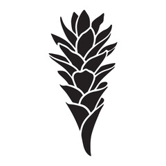 Elegant Pinecone Ginger Flower Silhouette