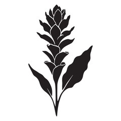 Silhouette of a Pinecone Ginger Flower with Leaves