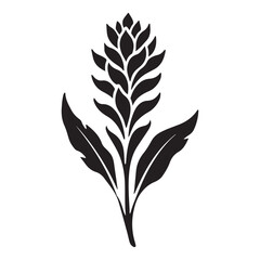 Elegant Black Silhouette Ginger Flower Illustration for Design Projects
