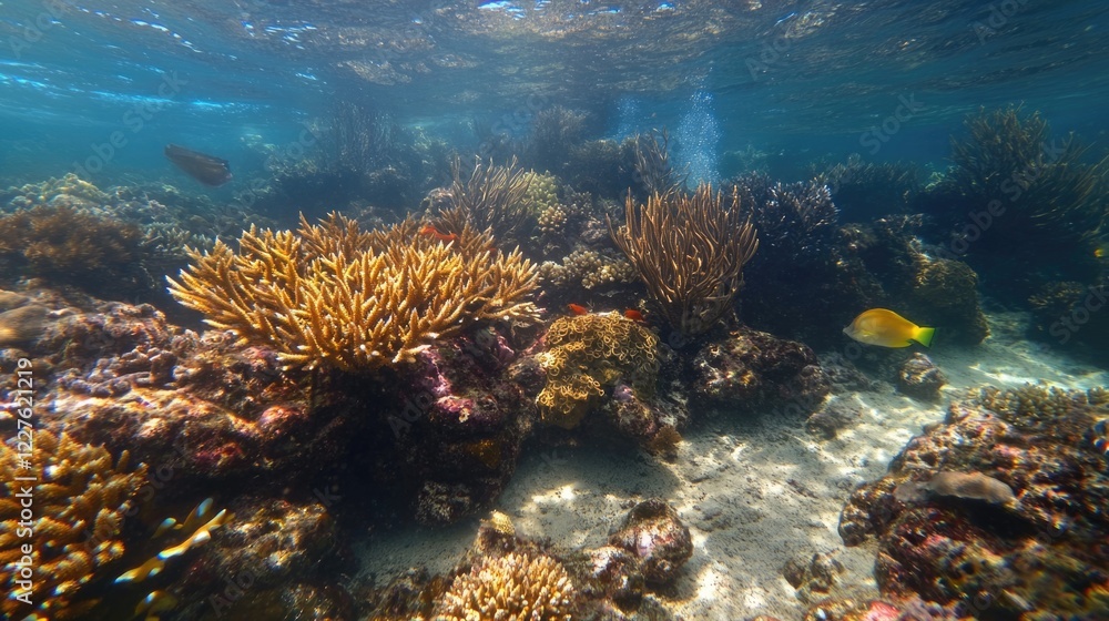 Poster vibrant underwater reef filled with colorful corals and diverse fish in clear shallow waters with am