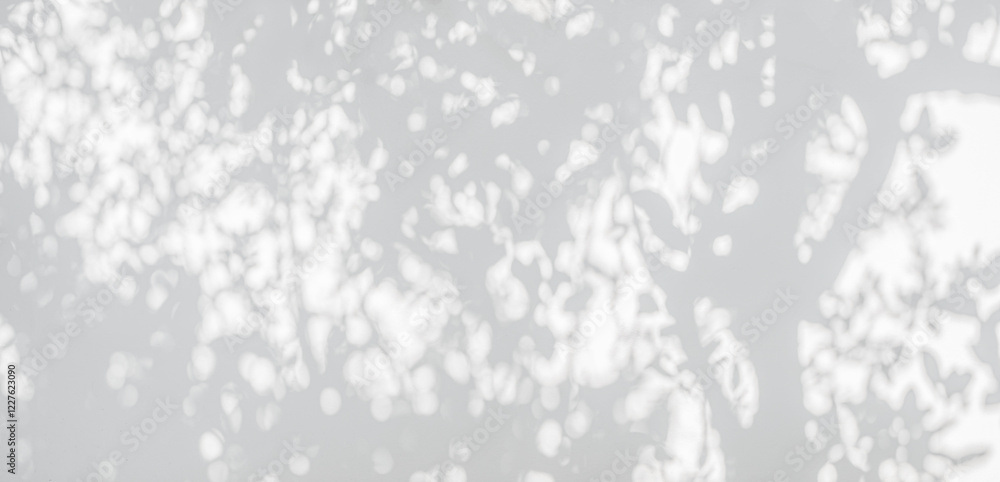 Fototapete Tree shadow and leaf branch background. Nature leaves tropical jungle tree branch dark shadow and light from sunlight on white wall texture for background wallpaper and design, shadow overlay effect