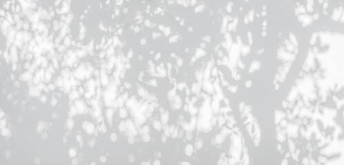 Tree shadow and leaf branch background. Nature leaves tropical jungle tree branch dark shadow and...