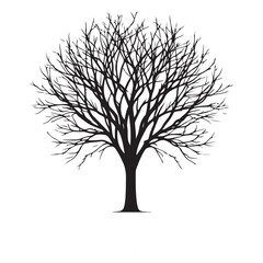 Obraz premium Silhouette of a Leafless Tree during Winter