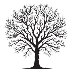 Obraz premium Bare Winter Tree Silhouette Illustration for Seasonal Designs