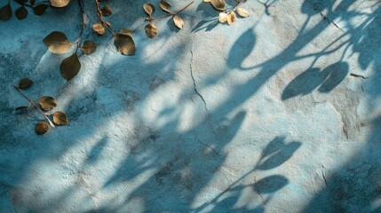 Light blue textured surface with delicate leaf shadows creating a serene and artistic background for various design projects.