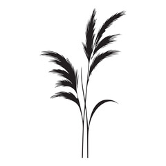 Elegant Pampas Grass Silhouette Vector Illustration