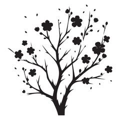 Delicate Silhouette of a Blooming Plum Tree