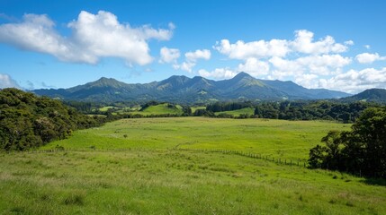 Fototapeta premium A serene landscape featuring lush green fields, distant mountains, and a bright blue sky with fluffy clouds.
