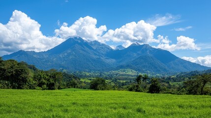 Fototapeta premium Lush green fields with majestic mountains under a clear blue sky and fluffy clouds create a stunning natural landscape.