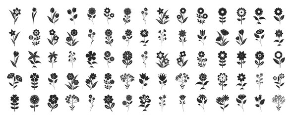 Flower icons set isolated on transparent background. Silhouettes spring flower icon set. Garden plants illustration sign collection. Beautiful symbol.