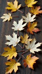 Delicate white oak leaves scattered on a wooden surface, leaf, nature, autumn