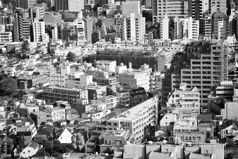 Canvas Prints Tokyo, Japan. Black and white vintage style photo.