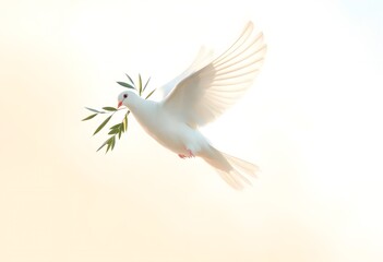 Fototapeta premium White Dove Peace Symbol Flying with Olive Branch