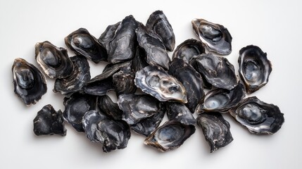 Raw black sea mollusks and hard-shelled oysters arranged in flat lay on a clean white background showcasing their natural textures and colors.