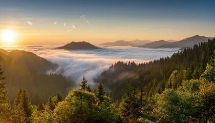 misty mountain sunrise scenic forest landscape photography