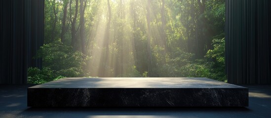 Black stone podium displaying sunlight through a window amidst a fading forest backdrop with ample copyspace for creative text insertion