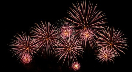 Fototapeta premium Fireworks with Simple Bursts and HD Detailing