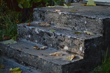 Fallen autumn leaves rest on the weathered steps of a house, adding a touch of seasonal charm to the scene.