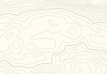 Topographic map background with altitude lines. Abstract terrain topography with elevation levels of the relief