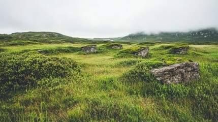 Obraz premium Exploring ancient stone structures remote highlands nature misty landscape wide angle historical significance