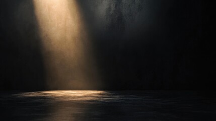 Professional photo studio setup with black background illuminated from the side providing space for text or product placement on the right.