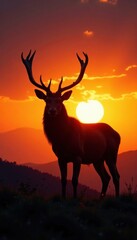 Silhouette of antlered animal against sunset , forest, silhouette, antlers