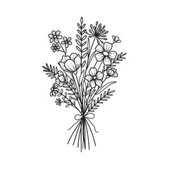 Flower bouquet vector. Hand drawn flower. Wildflower line art bouquets, wild plant, botanical vector illustration