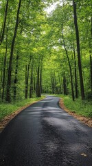 Naklejka premium Paved road curves through a dense, vibrant green forest